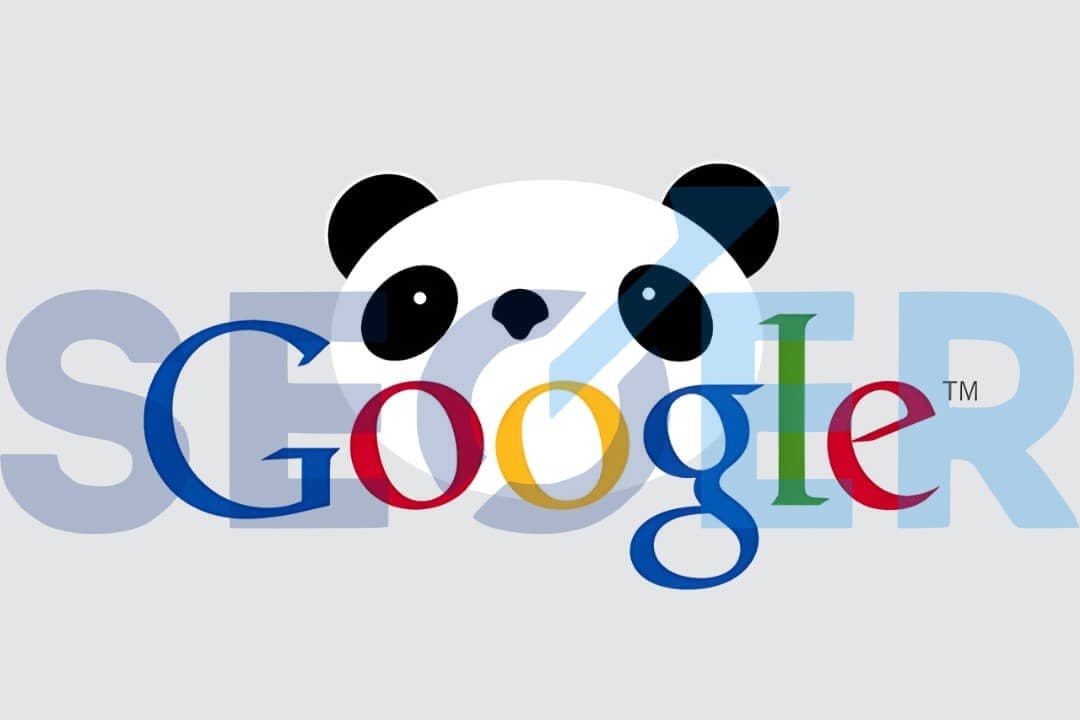 Google Panda là gì? Cách thức hoạt động của Google Panda
