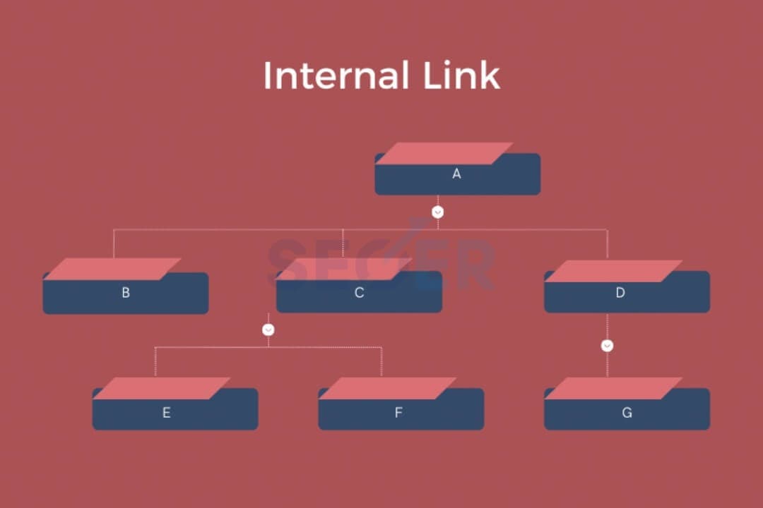 Internal Link là gì? Cách tối ưu Internal Link chuẩn SEO